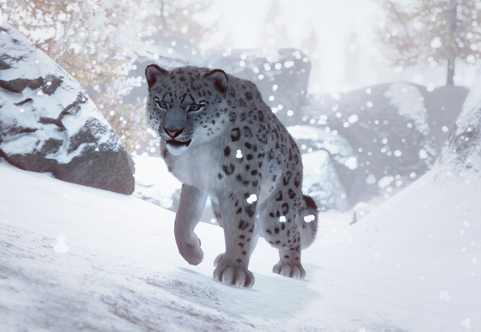 multibeast snow leopard edition
