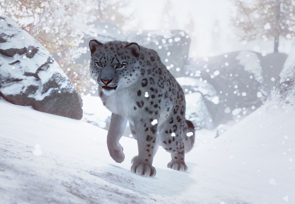Snow Leopard | Planet Zoo Wiki | Fandom