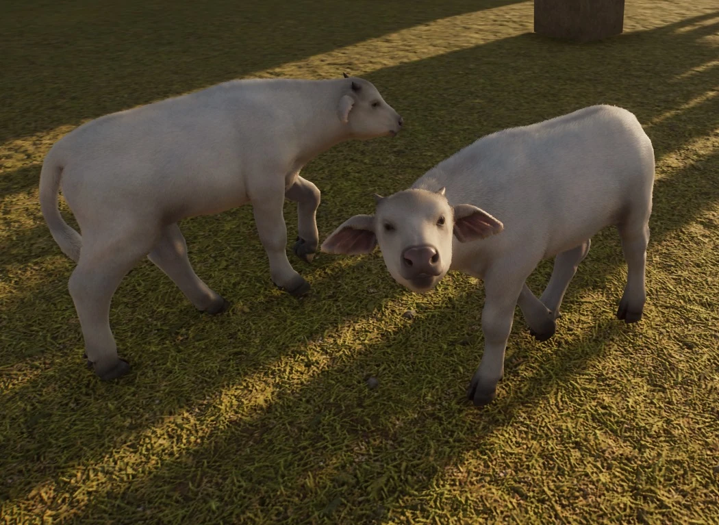 Breeding Animals Zoo Wiki Fandom