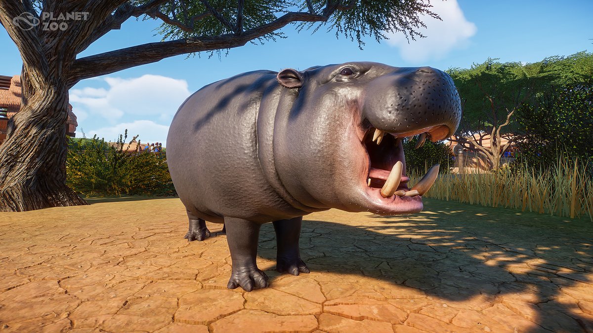 Hipopótamo Pigmeo | Planet Zoo Wiki | Fandom