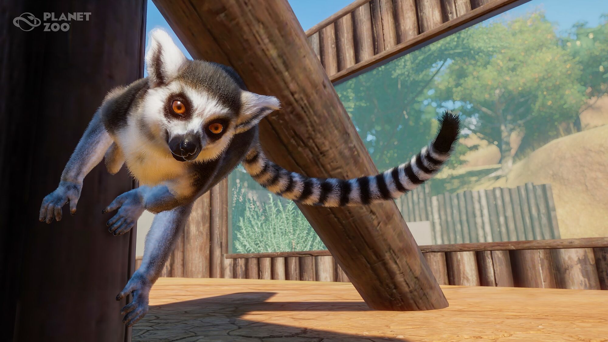 Category:Primates | Planet Zoo Wiki | FANDOM powered by Wikia