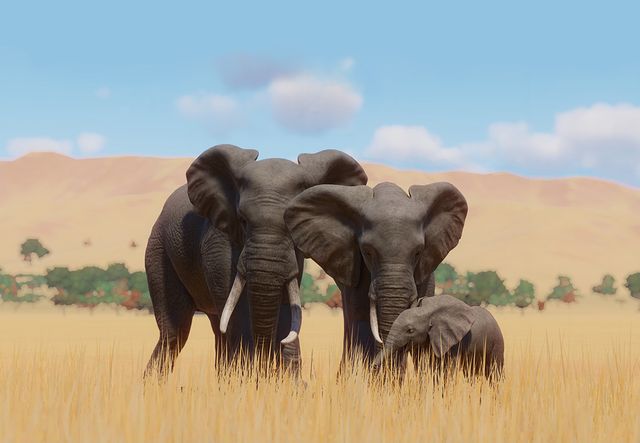Wonderbaar African Elephant | Planet Zoo Wiki | Fandom KG-07