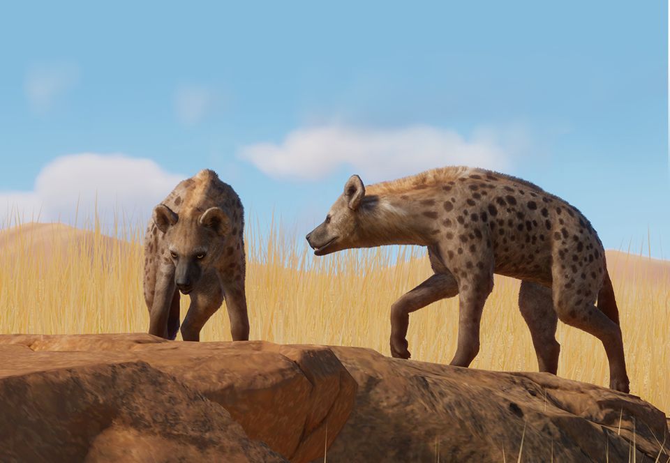 planet zoo forums planet zoo forums