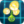 1Gold Bloom2