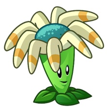Boomerang Floral Wiki Plantes Contre Zombies Fandom