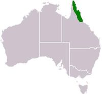 Distribution.xanthostemon.chrysanthus