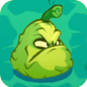 Squash3