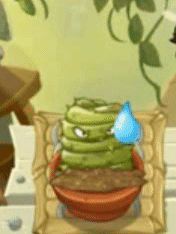 Comepiedras regado en el Jardín Zen