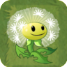 Dandelion2C