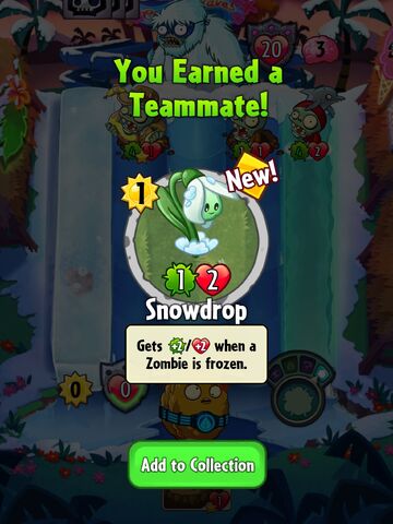File:Snowdrop.jpg