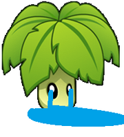 Umbrella leaf crying