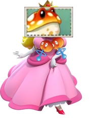 Princess peach toadstool
