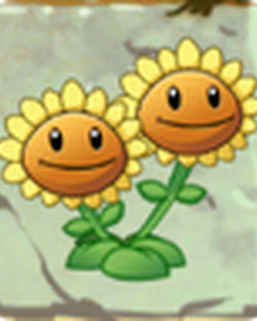 Twin Sunflower Plants Vs Zombies 2 Plants Vs Zombies Wiki