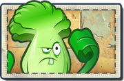 Bonk Choy New Ancient Egypt Seed Packet