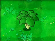plants vs zombies umbrella leaf plush