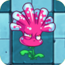 Sea AnemoneO