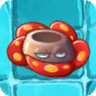 Rafflesia2