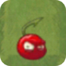 Small Cherry2