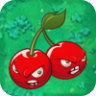 Cherry BombO