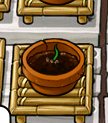 Sprout
