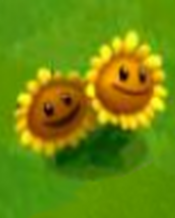Twin Sunflower Plants Vs Zombies Adventures Plants Vs