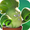 Bonk ChoyGW2