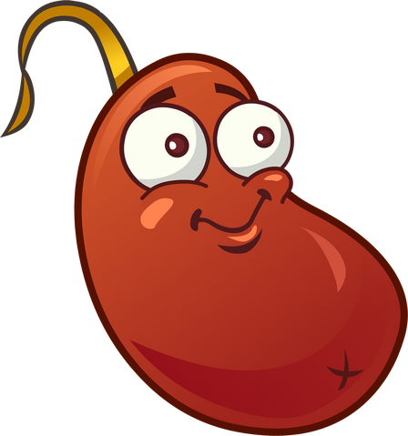 File:Chili Bean HD-.png