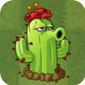 CactusAS