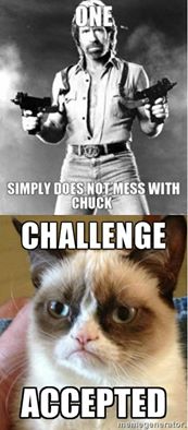 Chuck vs. Grumpy