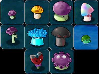 The Ten Mushrooms