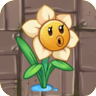 NarcissusO