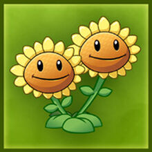 Twin Sunflower Gallery Plants Vs Zombies Wiki Fandom