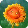 Fire FlowerGW2