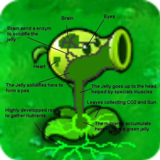 User blogThe M.E.O.W. King/Peashooter Anatomy Plants vs. Zombies