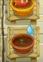 Brote Regado Pvz2