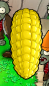 Corncob