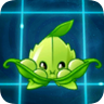 Appease-mint2