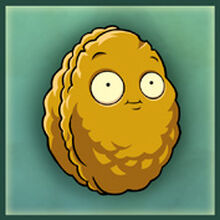 Wall Nut Gallery Plants Vs Zombies Wiki Fandom