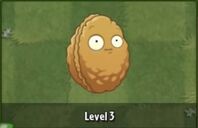 Wall-nut | Plants vs. Zombies Wiki | FANDOM powered by Wikia