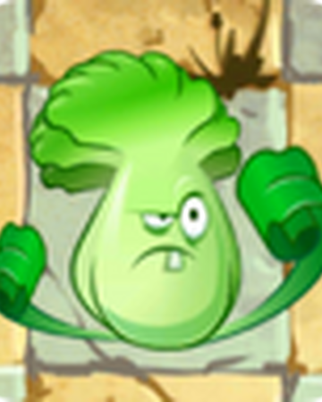 Bonk Choy Plants Vs Zombies 2 Plants Vs Zombies Wiki Fandom