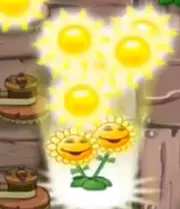 Twin Sunflower Plant Food