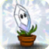 Magnifying GrassGW2