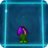 Shrinking Violet2