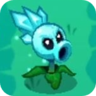 Snow Pea3