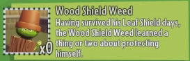 WoodShieldGW2Des