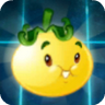 Solar Tomato2