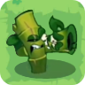 Bamboo Shoots3
