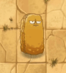 Tall-nutPF