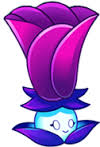 Images (5)