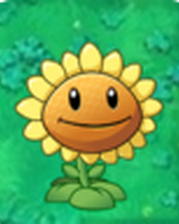 Sunflower Plants Vs Zombies 2 Plants Vs Zombies Wiki Fandom